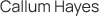 Header Logo